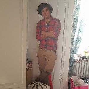 Life size Harry poster